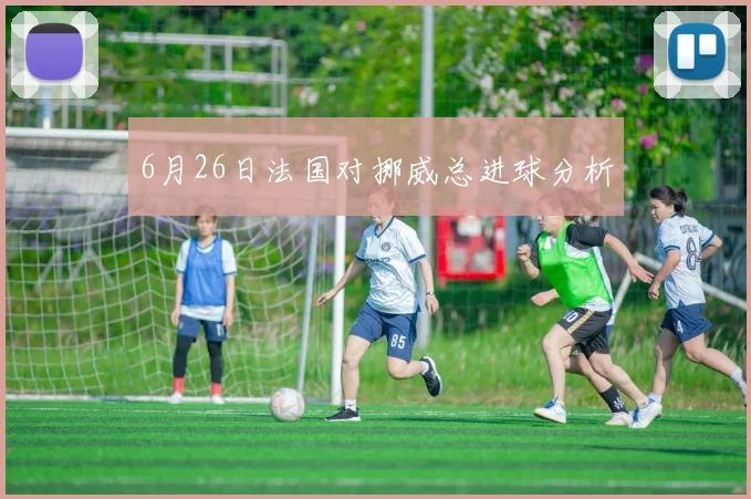 6月26日法国对挪威总进球分析