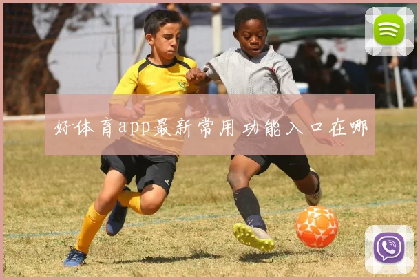 好体育app最新常用功能入口在哪